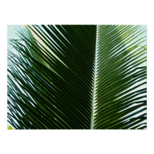 Poster Overlapping Palm Fronds Tropical Green Abstract