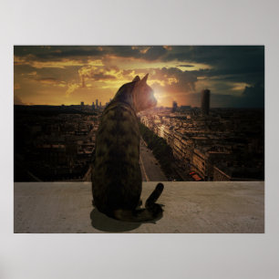 Poster Overlook