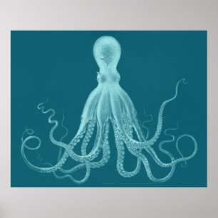 Poster Oversized Octopus Triptych Print in Turquoise