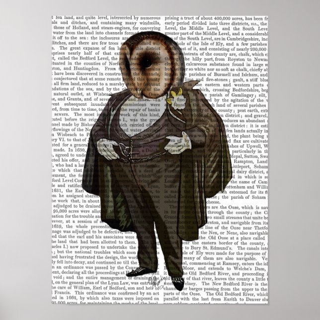 Poster Owl à l'opéra (Devant)