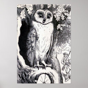 Poster "Owl" Vintage Illustration