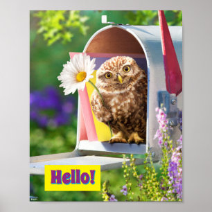 Poster Owl With Flower In Mailbox