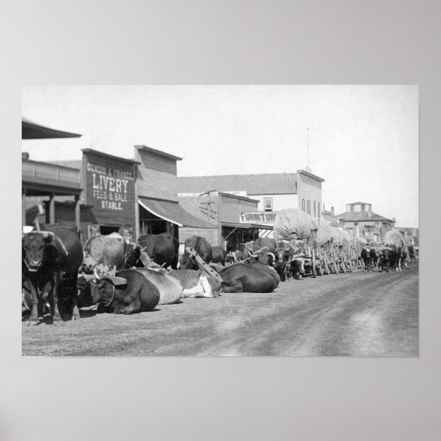 Poster Ox Teams le long de Main Street of Sturgis Photogr (Devant)