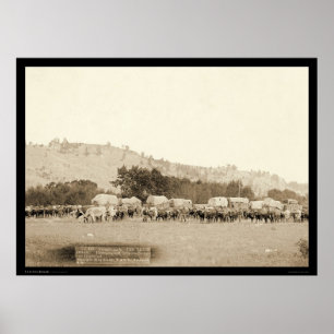 Poster Ox Teams & Wagons Freighting Black Hills SD 1887