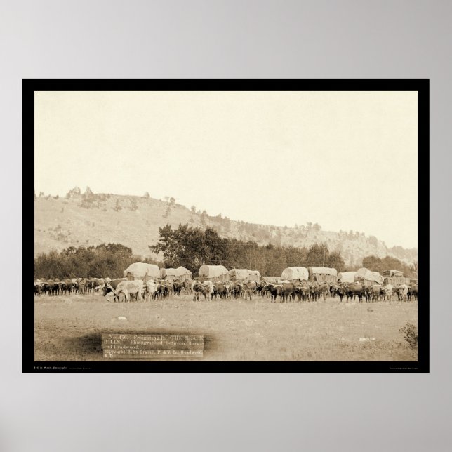 Poster Ox Teams & Wagons Freighting Black Hills SD 1887 (Devant)