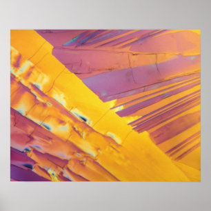 Poster Oxalic Acid Crystals