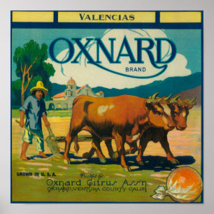 Poster Oxnard LabelOxnard orange, CA