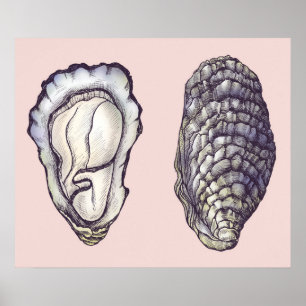 Poster Oysters