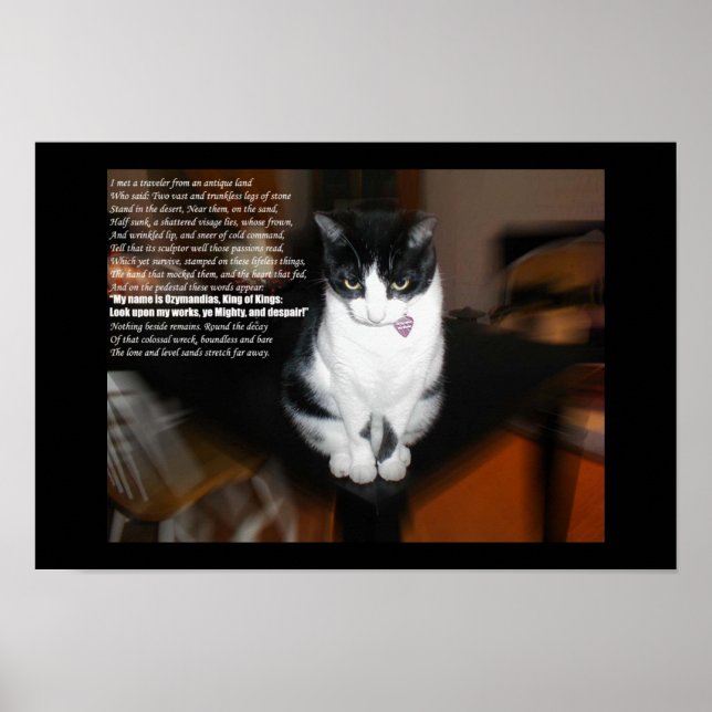 Poster ozymandias (Devant)