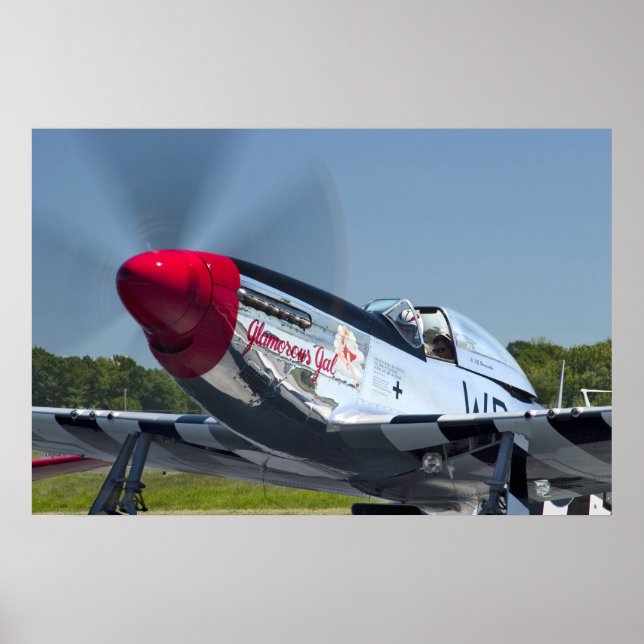 POSTER P51 (Devant)