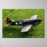 Poster P-40 Warbird