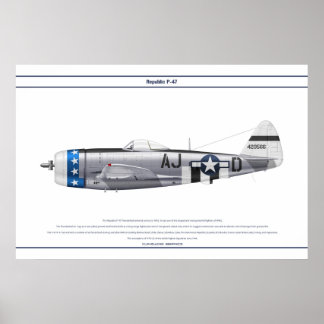 POSTER P-47D 356FS USAAF