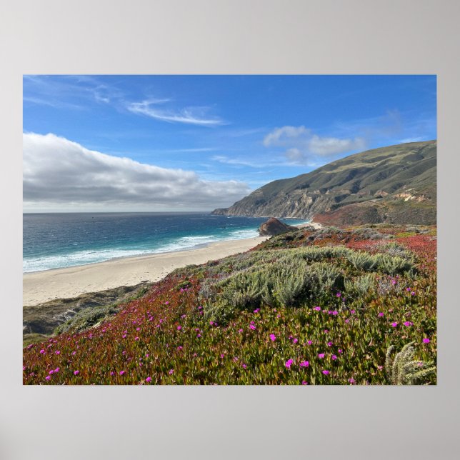 Poster Pacific Coast (Devant)