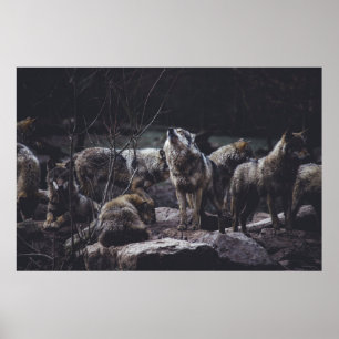 POSTER PACK DE LOUPS EN FORMATION ROCK