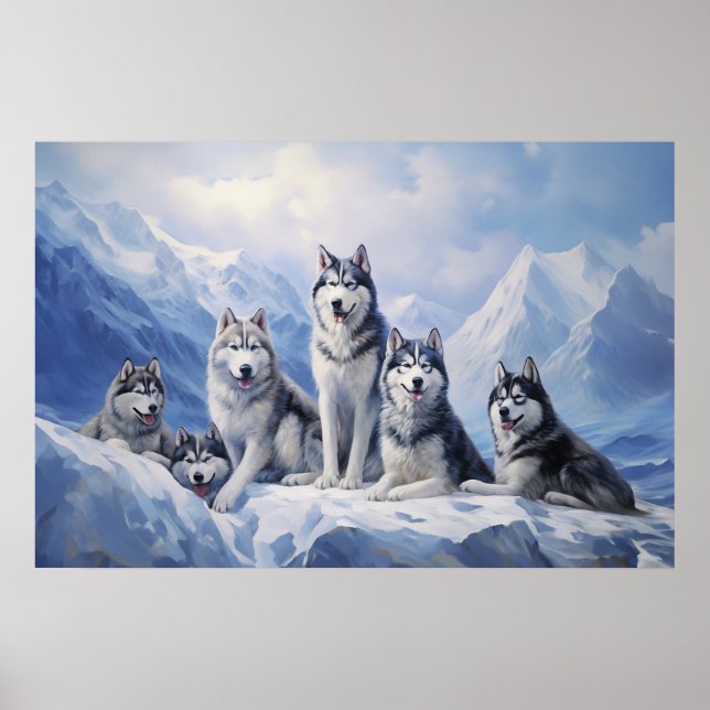 Poster Pack Sibérien Husky (Devant)