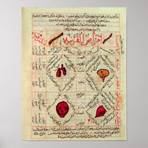 Poster Page du 'Canon de Médecine' par Avicenna