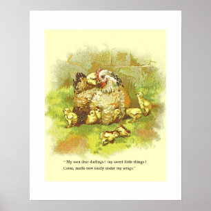 Poster Page Vieux livre d'histoire Mère Hen avec poussins
