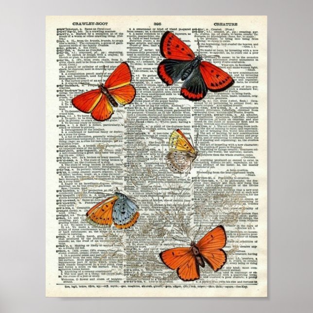 Poster Page vintage Butterfly Botanical #11 sur le dictio (Devant)