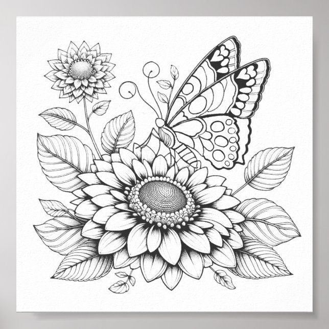 Poster Pages De Coloration Papillon Pour Adultes (Devant)
