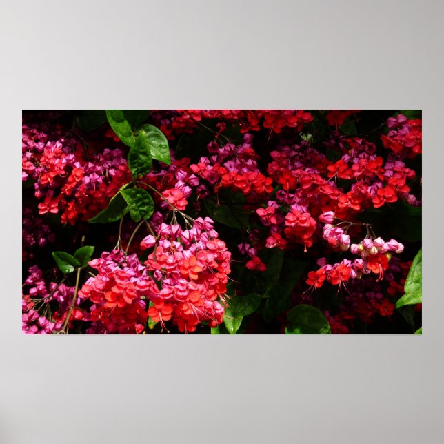 Poster Pagoda Flowers Colorful (Devant)