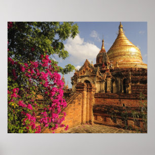 Poster Pagode Dhamma Yazaka à Bagan (Pagan), Myanmar