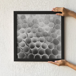 Poster Pailles blanches et noires