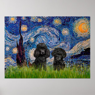 Poster Paire de caniche (noir) - Nuit étoilée