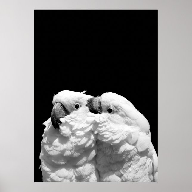 Poster Paire de cocktails parapluies (Devant)