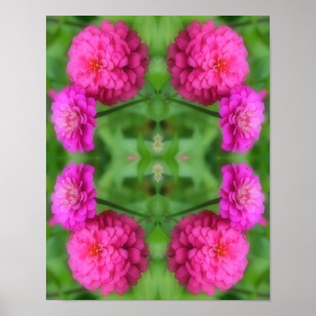 Poster Paire de fleurs rose Zinnia Abstrait (Devant)