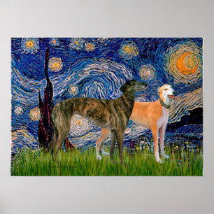 Poster Paire de Greyhound - Nuit étoilée