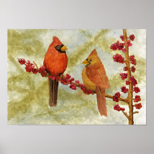 Poster Paire des cardinaux