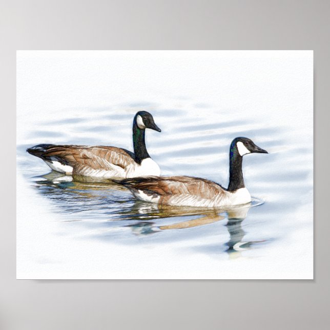 Poster Paire d'oies (Devant)