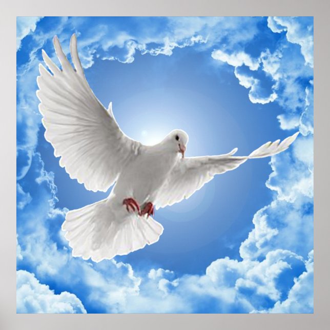 Poster Paix (Devant)