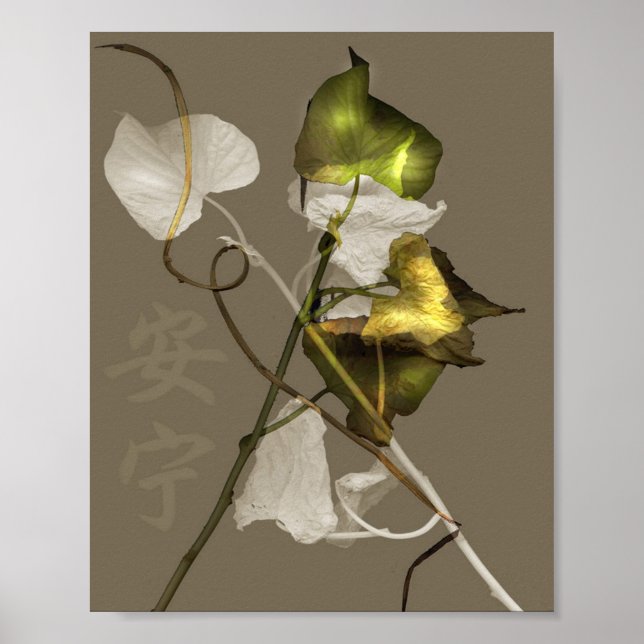 Poster Paix (Devant)