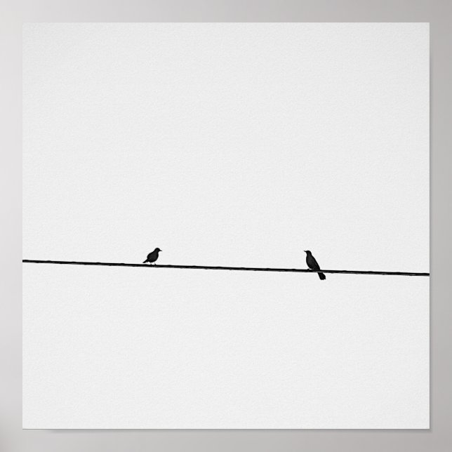 Poster Pájaros posados en blanco y negro (Devant)
