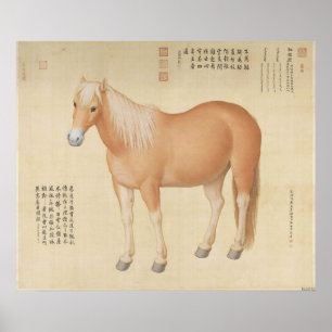 Poster Palefroi Palomino Doré - Art Chinois Vintage