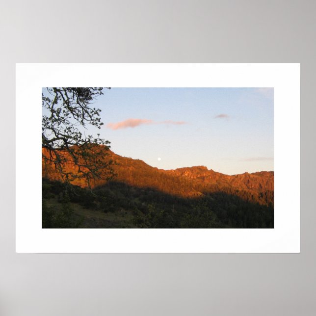 Poster "Palisades" (Devant)