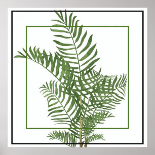 Poster-Palm 24" x 24" Poster