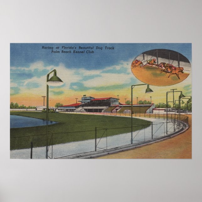 Poster Palm Beach, FL - Kennel Club, Piste de course de c (Devant)