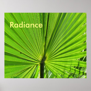 Poster - Palm Frond au soleil