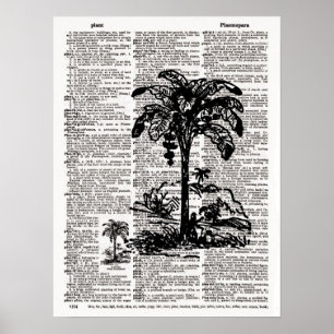 Poster Palm Tree Dictionary Art