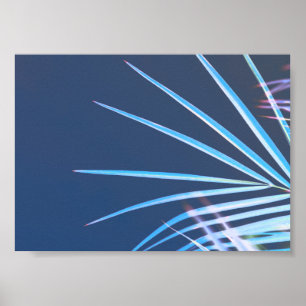 Poster Palm Tree Leaves Minimalism Sketch
