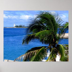 Poster Palm Tree & Lighthouse