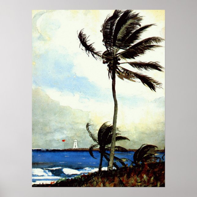 Poster 'Palm Tree-Nassau' (Devant)
