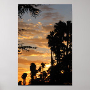 Poster Palm Tree Sunset Los Angeles