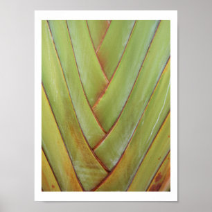 Poster Palme du voyageur