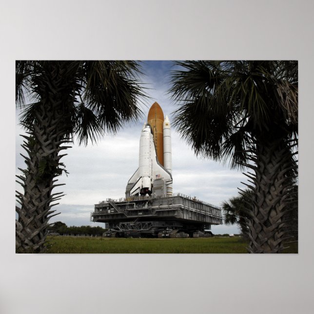 Poster Palmetto arbres cadre navette spatiale Endeavour (Devant)