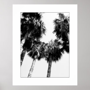 Poster Palmier