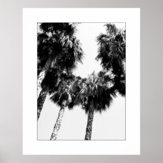 Poster Palmier