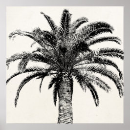 Poster Palmier de l'île tropicale rétro en noir et blanc